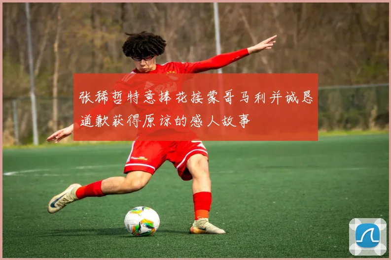 张稀哲特意捧花接蒙哥马利并诚恳道歉获得原谅的感人故事